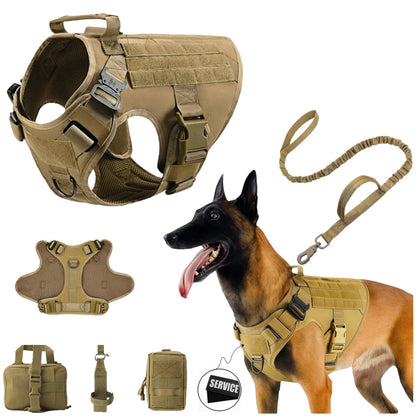 Heavy Duty Tactical Dog harness with gear and  leash.