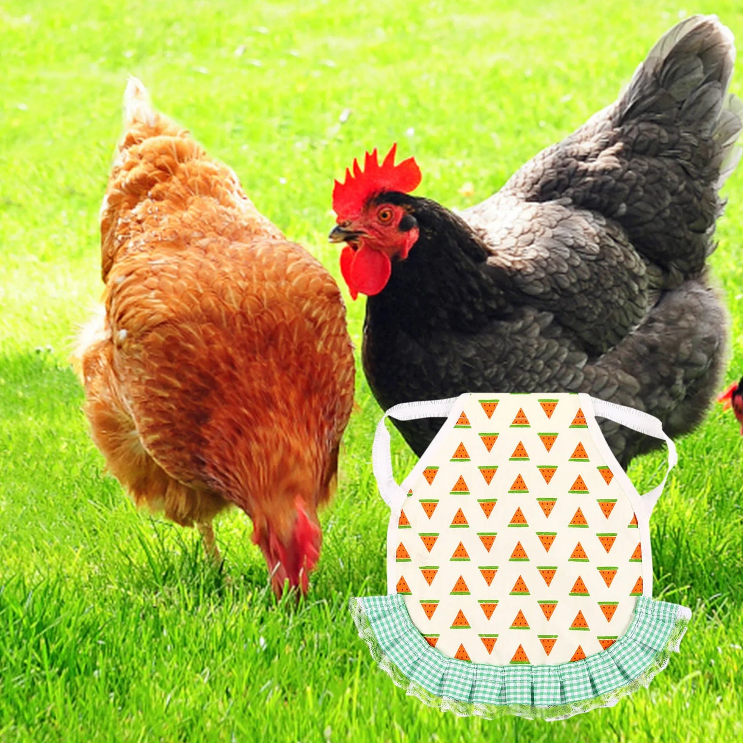 1pcs Farm Hen Feather Retainer Chicken Saddle Strap Apron Double Back Protector