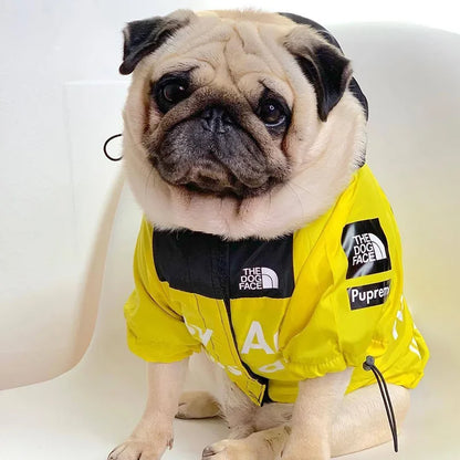 Pug wearing a yellow jacket with visible branding on a white background