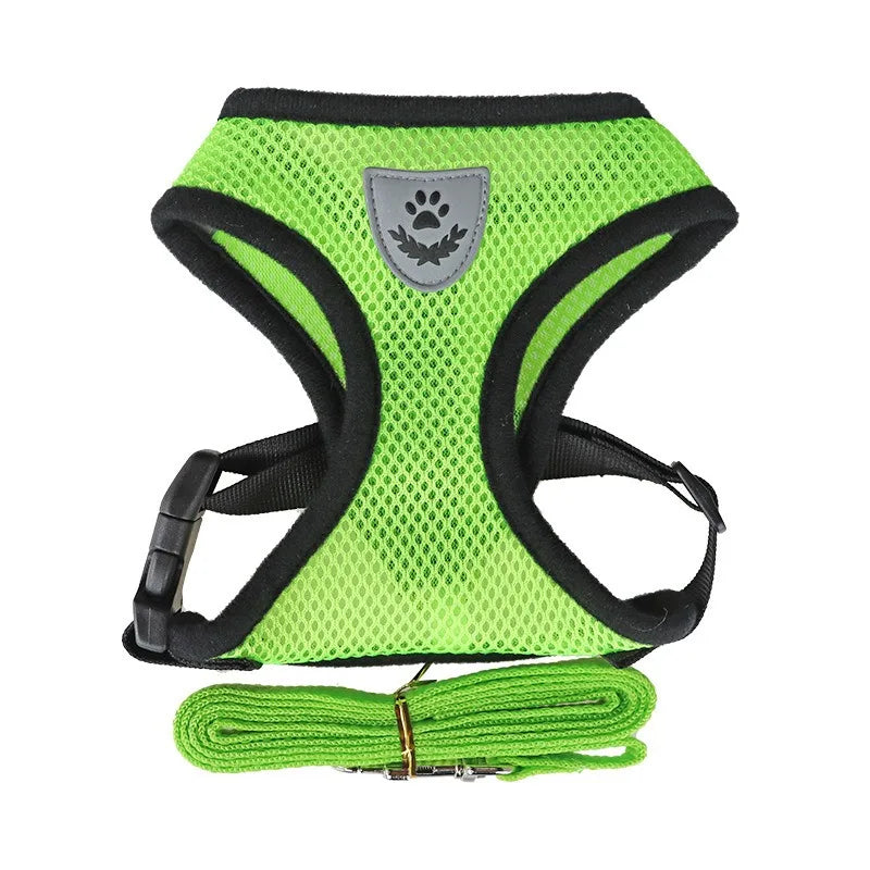 Cat Leash and Harness Anti Escape