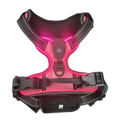 Led luminous Dog Harness No Pull Adjustable Rechargeable