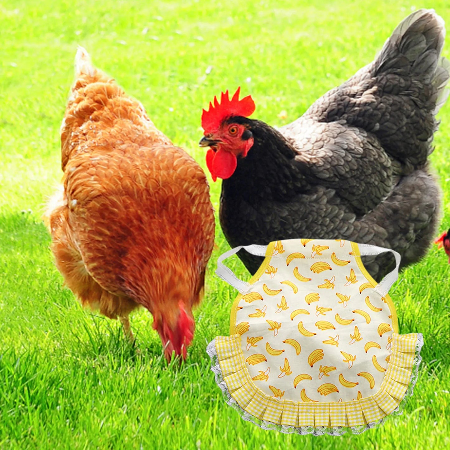 1pcs Farm Hen Feather Retainer Chicken Saddle Strap Apron Double Back Protector