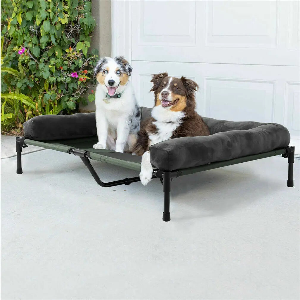 Bed for Dogs and Cats Indoor Outdoor Elevated Pet Lounger L XL 2XL