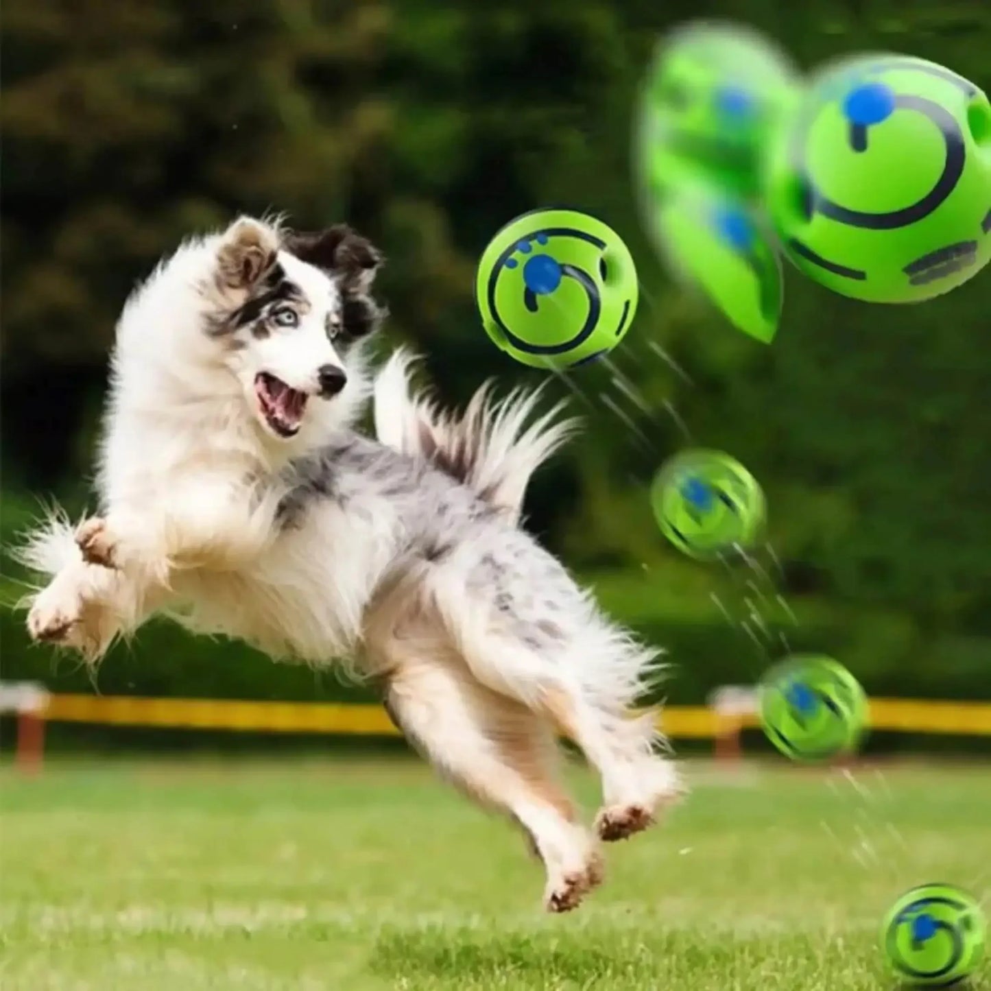 Dog leaping in the air to catch a green ball with a blurred background