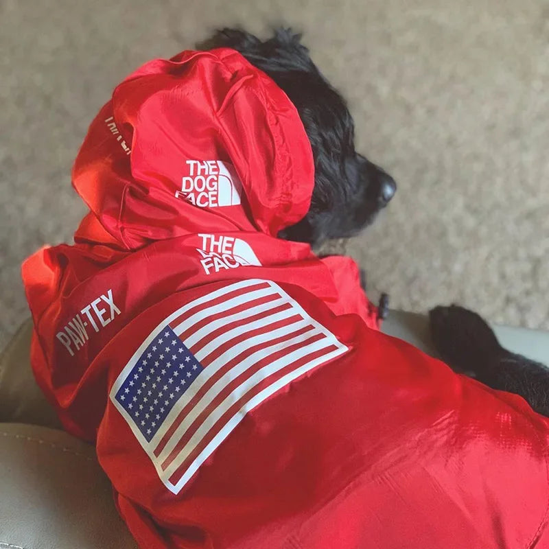 Dog wearing a red raincoat with an American flag patch, sitting on a carpeted floor.