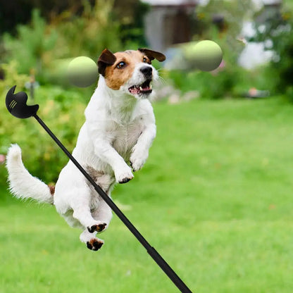 Pet Hand  Stick Throwing Ball Toy, Tennis Launcher