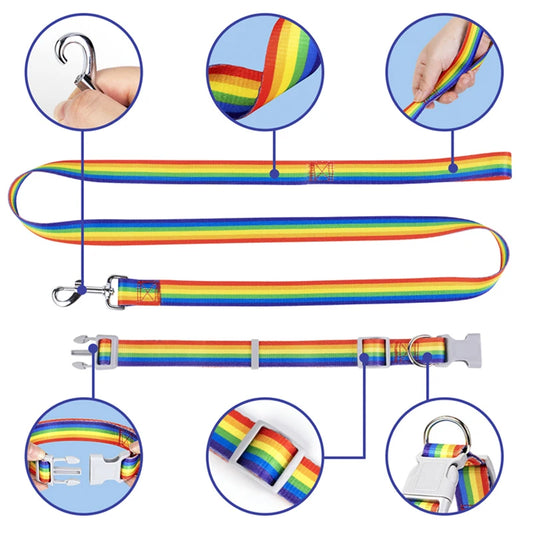 Rainbow-colored dog leash, collar, and clip set with close-up details on a white background.
