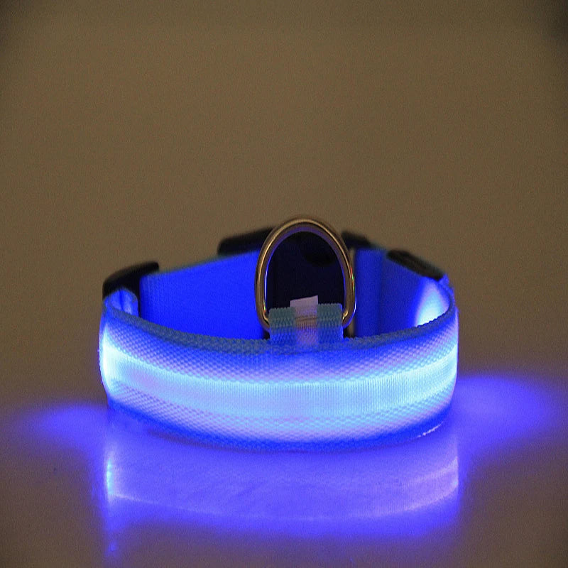 Blue LED dog collar glowing on a reflective surface with a dark background