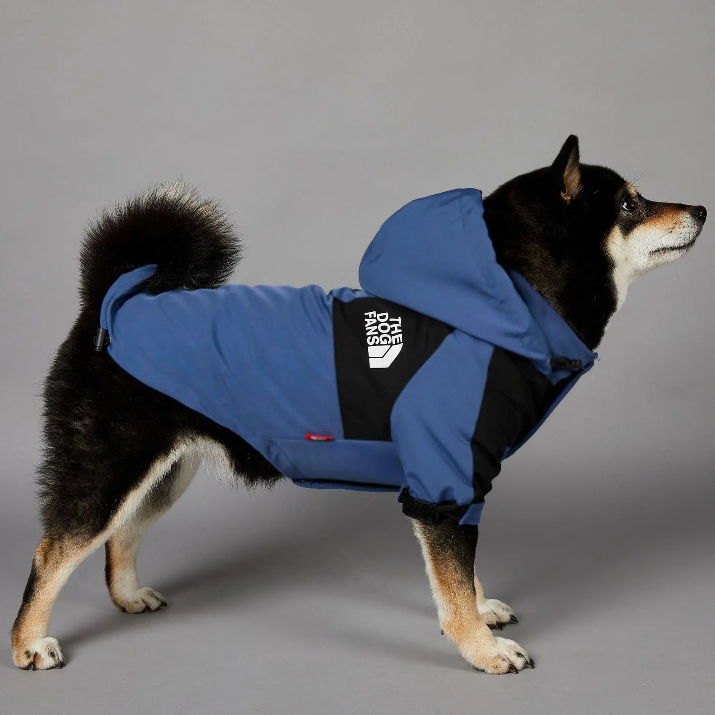 Dog Raincoat For Small Big Dogs Wind Coat Windbreaker Hoodie