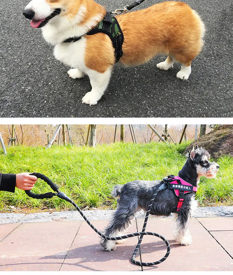 150/200/300cm Strong Pet Reflective Leash Explosion Proof