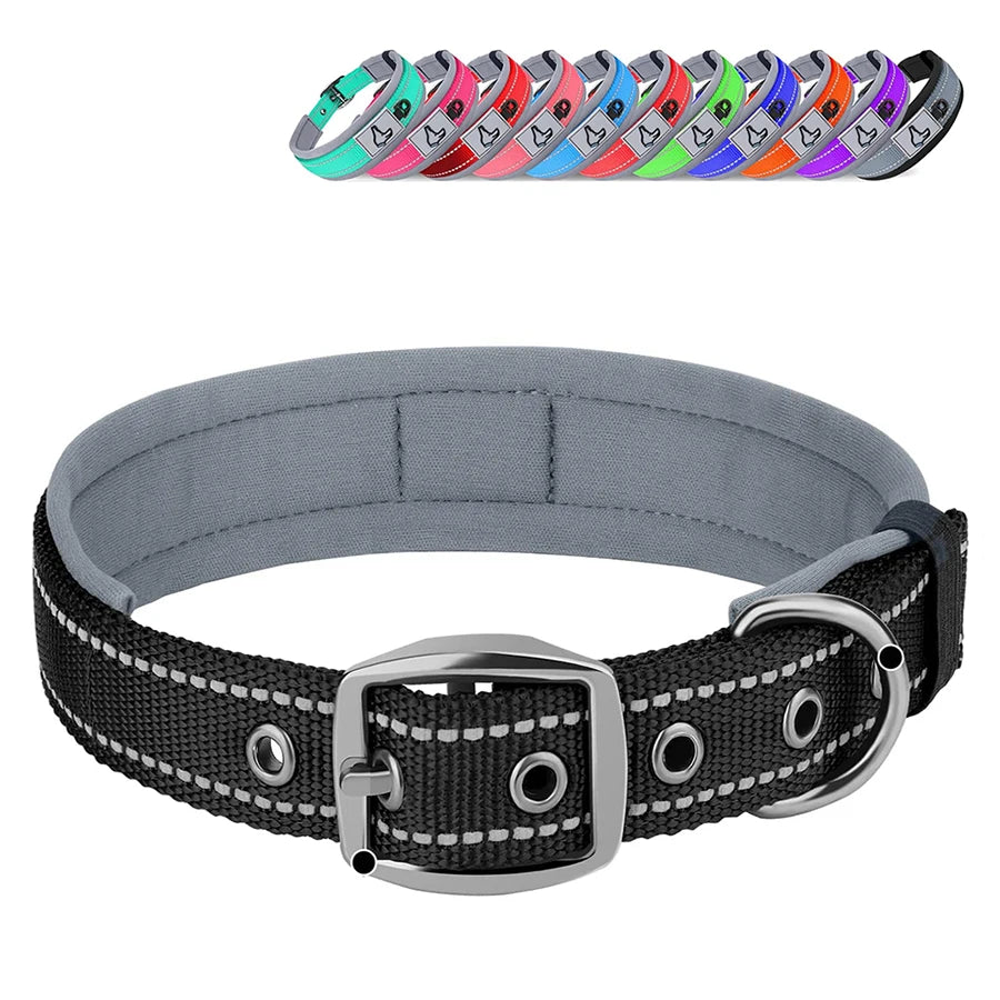 Gray dog collar with black strap and metal buckle, accompanied by a row of colorful dog collars on a white background.