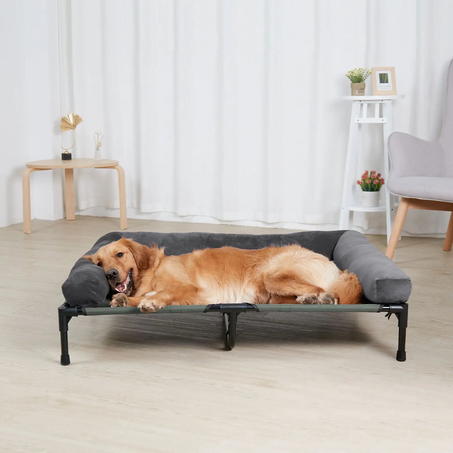 Bed for Dogs and Cats Indoor Outdoor Elevated Pet Lounger L XL 2XL