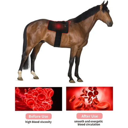 Pain Relief LED Red Light Infrared Machine For Horse Back Therapy