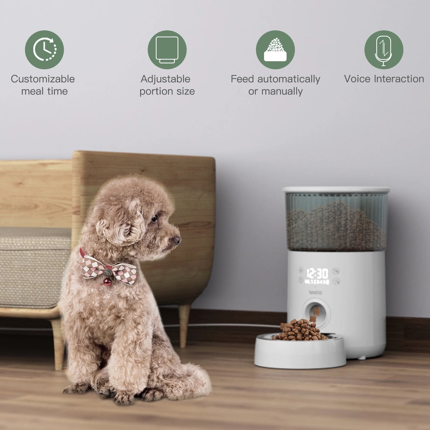 Automatic Pet Feeder With Voice Record