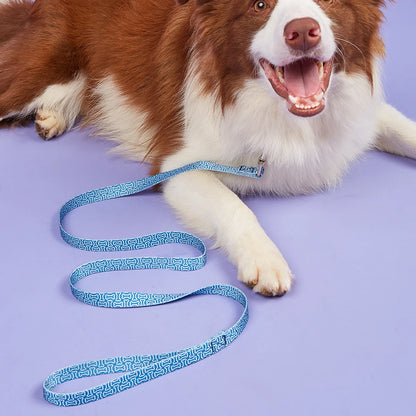 Colorful Silk-Print Cat & Dogs Lead Rope Fashion Nylon Dog Leashes