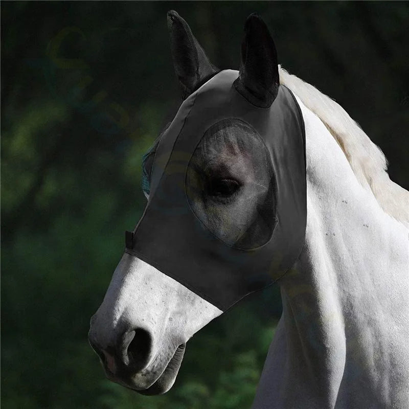 White horse wearing a black fly mask against a dark background