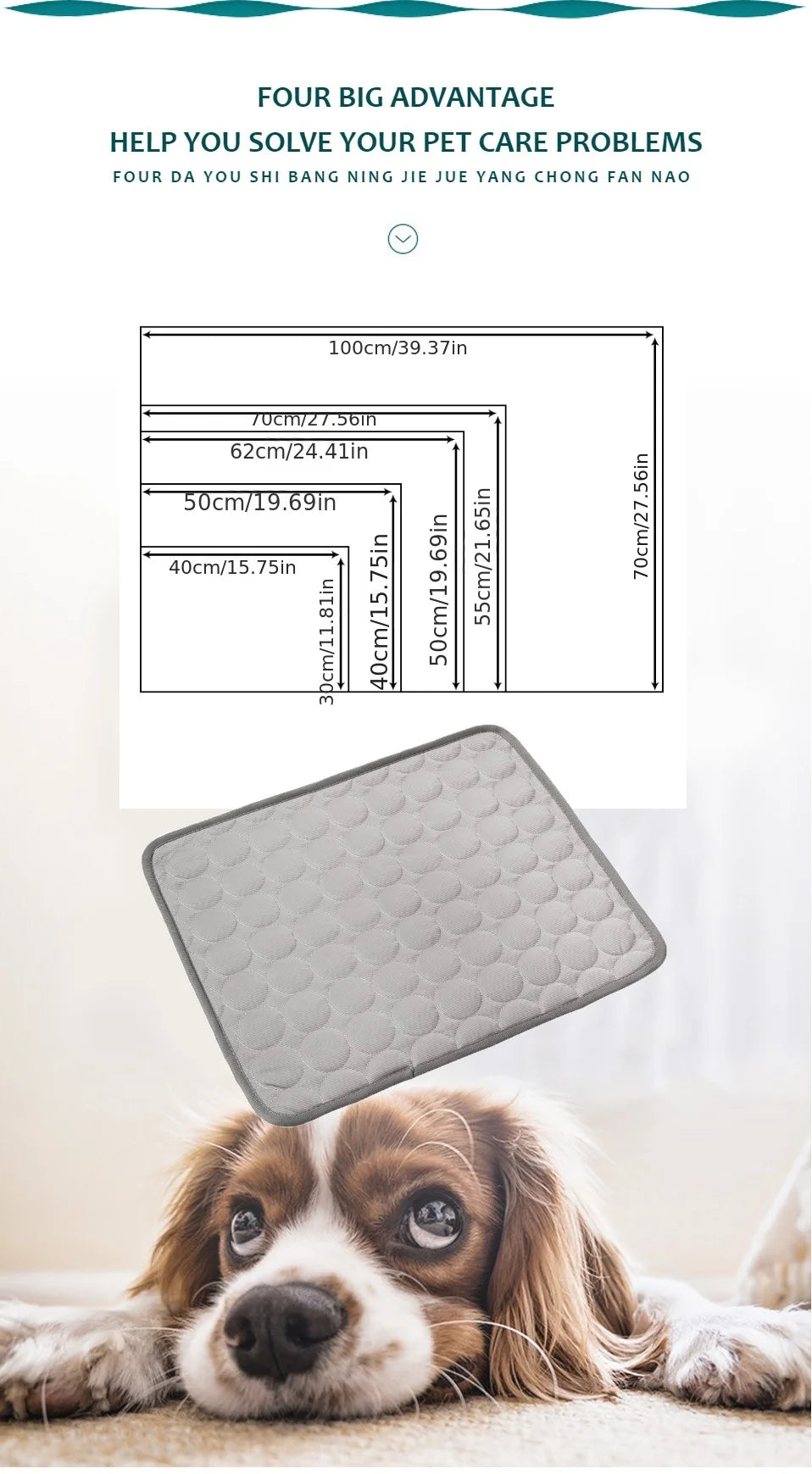 Dog lying on a mat with product dimensions displayed above