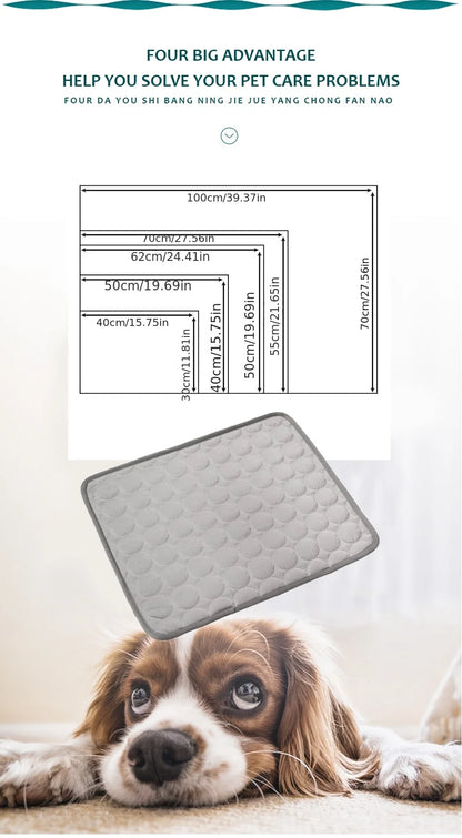 Dog lying on a mat with product dimensions displayed above