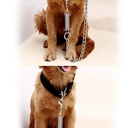 A golden retriever dog wearing a black collar with a silver metal spring leash attached, shown in a two-panel close-up against a light cream background.