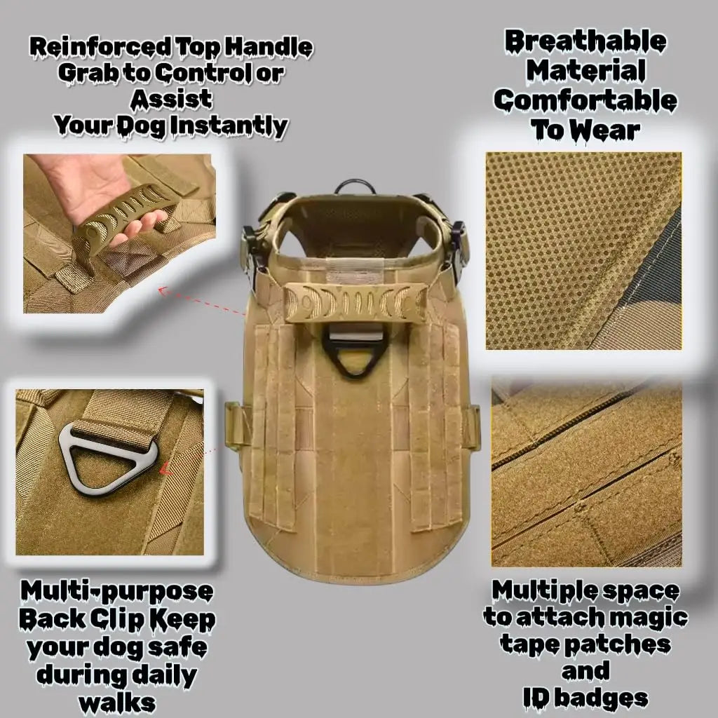 Dog harness with features highlighted on a gray background