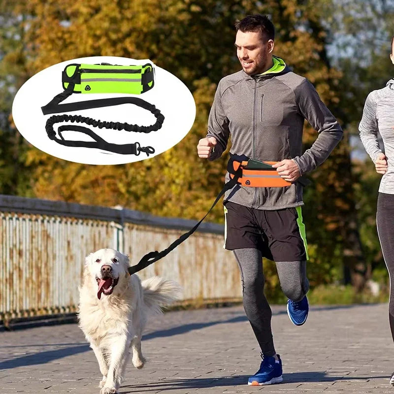 Hands Free Dog Reflective Leash with Waist Bag