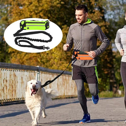 Hands Free Dog Reflective Leash with Waist Bag