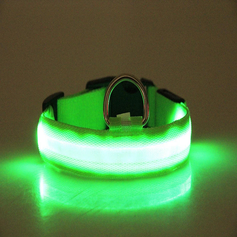 Green LED dog collar on a reflective surface with a neutral background