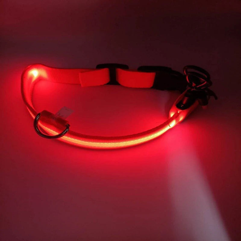 Red LED dog collar on a dark background
