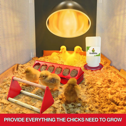 Chicken Brooder Box Starter Kit, 10.6 ft³ Indoor
