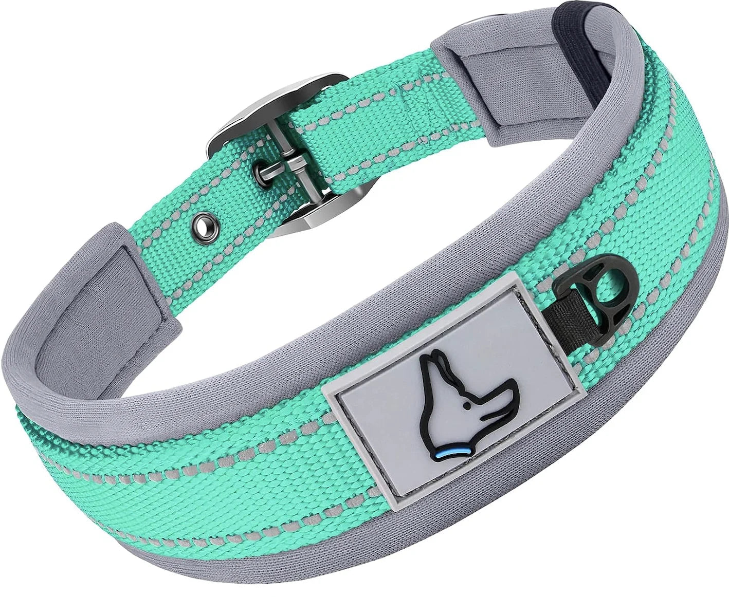Teal and gray dog collar with a reflective strip and a black icon label on a white background