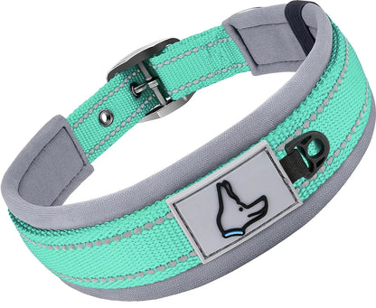 Teal and gray dog collar with a reflective strip and a black icon label on a white background