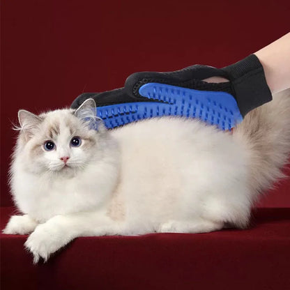 Person using a blue pet grooming glove on a white cat with a red background