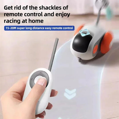 Automatic Rolling Remote Control Toy Car Interactive Cats