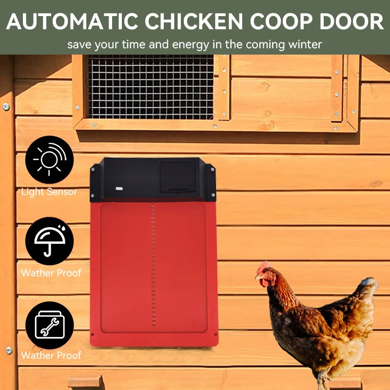 Automatic chicken coop door with features and a chicken on a wooden background