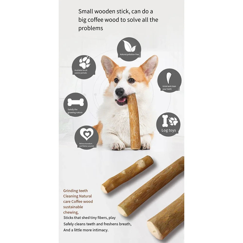 Coffee‑Shaped Wooden Dog Chew Toy – Durable Natural Wood for Tooth Pressure Relief
