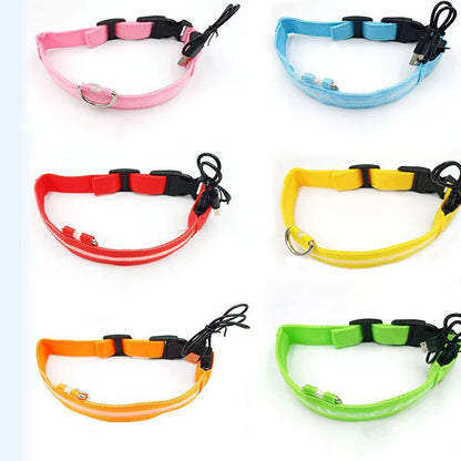 Six reflective dog collars in pink, blue, red, yellow, orange, and green, arranged in a two-column grid on a white background.