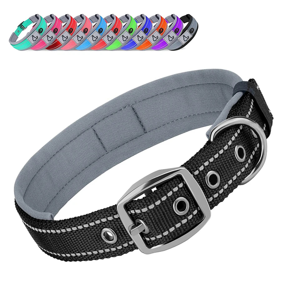 Gray dog collar with black buckle and colorful options above on a white background