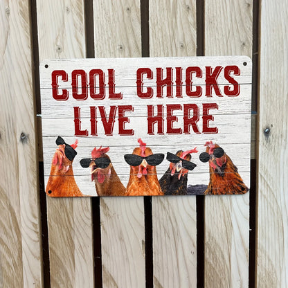 A rectangular metal sign with a rustic white wood-grain background featuring the text 'COOL CHICKS LIVE HERE' in red distressed lettering, with four illustrated chickens wearing black sunglasses along the bottom, displayed against a light wood plank wall.