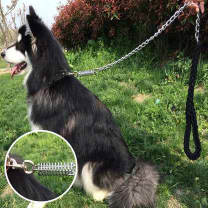 A black and white dog sitting on grass outdoors, wearing a metal chain leash with a black braided handle and a close-up inset showing the spring-release clasp detail.