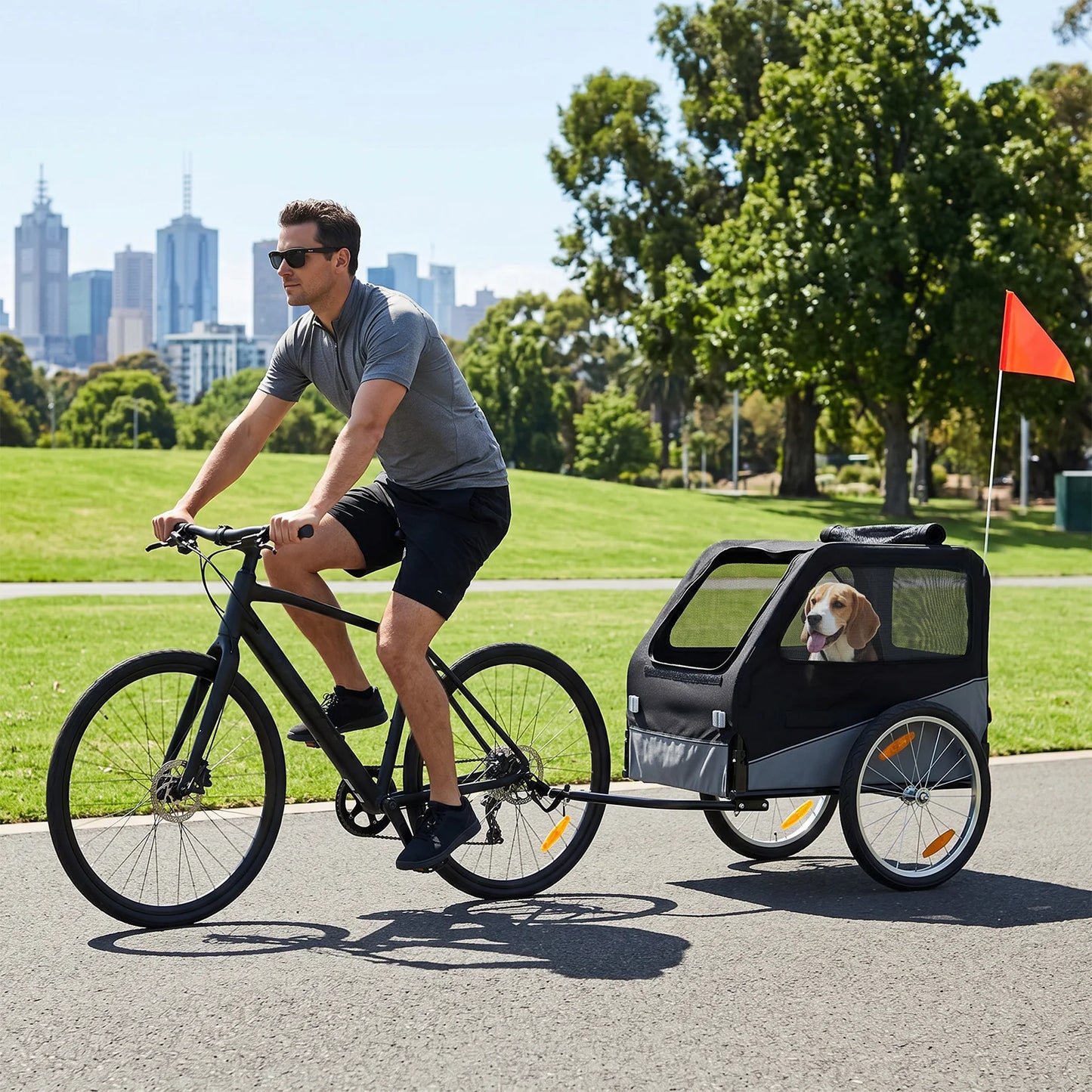 A man rides a black bicycle in a park while pulling a black pet trailer with a dog inside. Trees, grass, and a city skyline are visible in the background under a blue sky.