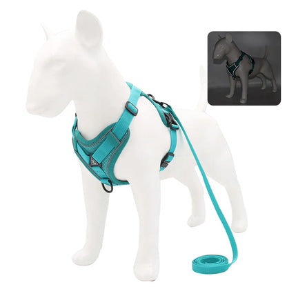 Harness and Leash Set For Small Dog French Bulldog Pug Pitbull Puppy