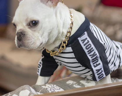Luxury Collar Gold Dog Chain Choker For Pitbull Bulldog Teddy French Bulldog