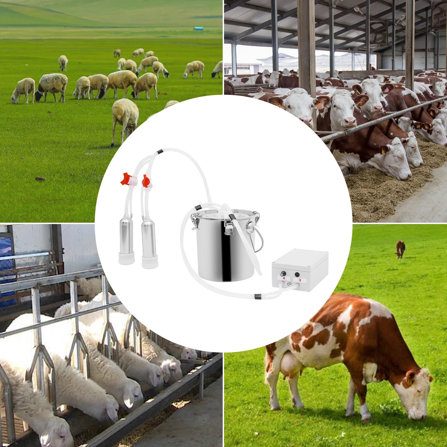 5L/10L Electric Cow Milking Machine Speed Pulsating Vacuum Pump