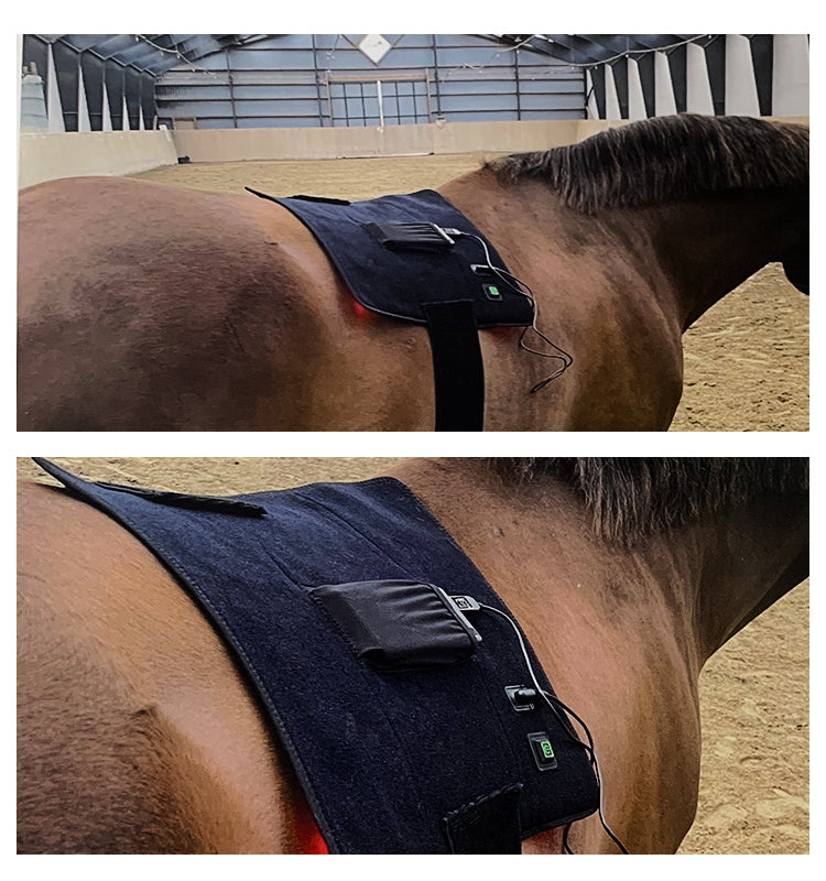 Pain Relief LED Red Light Infrared Machine For Horse Back Therapy