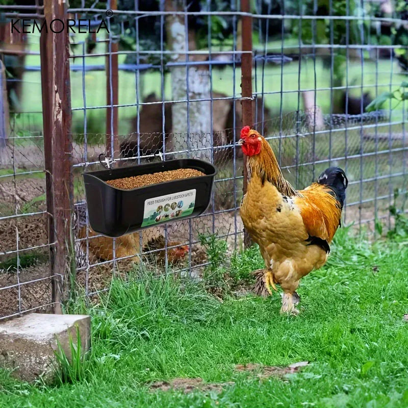 A black plastic hanging chicken feeder filled with grain, mounted on a wire fence in a grassy outdoor coop. A golden-brown rooster stands nearby, and another chicken is visible behind the fence.