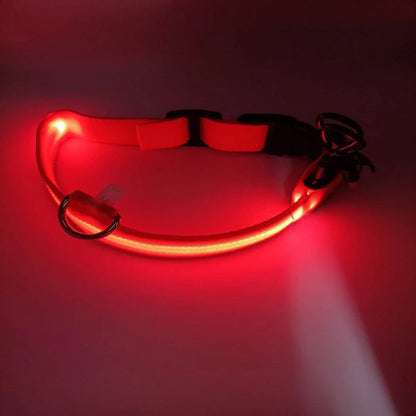 Red LED dog collar on a dark background