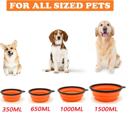 Collapsible dog bowls in various sizes with three dogs sitting behind them on a white background.