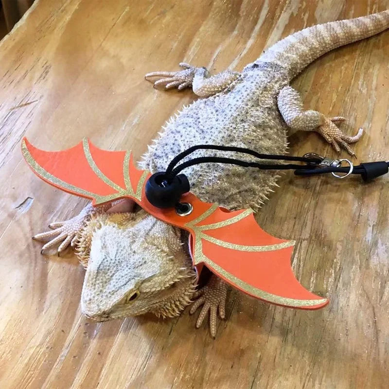 3 Pcs Adjustable Bearded Dragon Leash With Bat Wings Lizard Harness