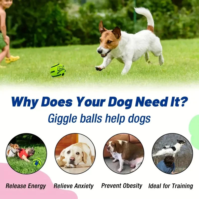 Dog playing with a ball in a grassy area, with text about giggle balls and their benefits for dogs.