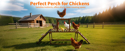 Wood Chicken Perch Coop with Swing Ladder Platform